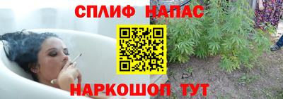 тгк Краснознаменск