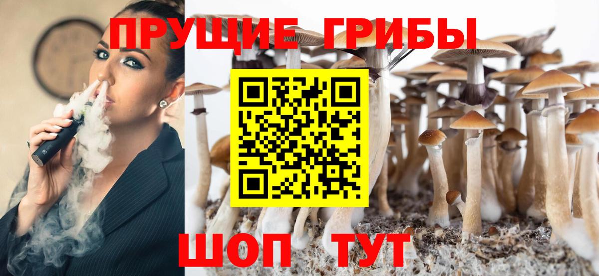 Псилоцибиновые грибы мухоморы  Вход с VPN  Кемерово 